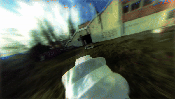 abeillesgif-ezgif.com-video-to-gif-converter